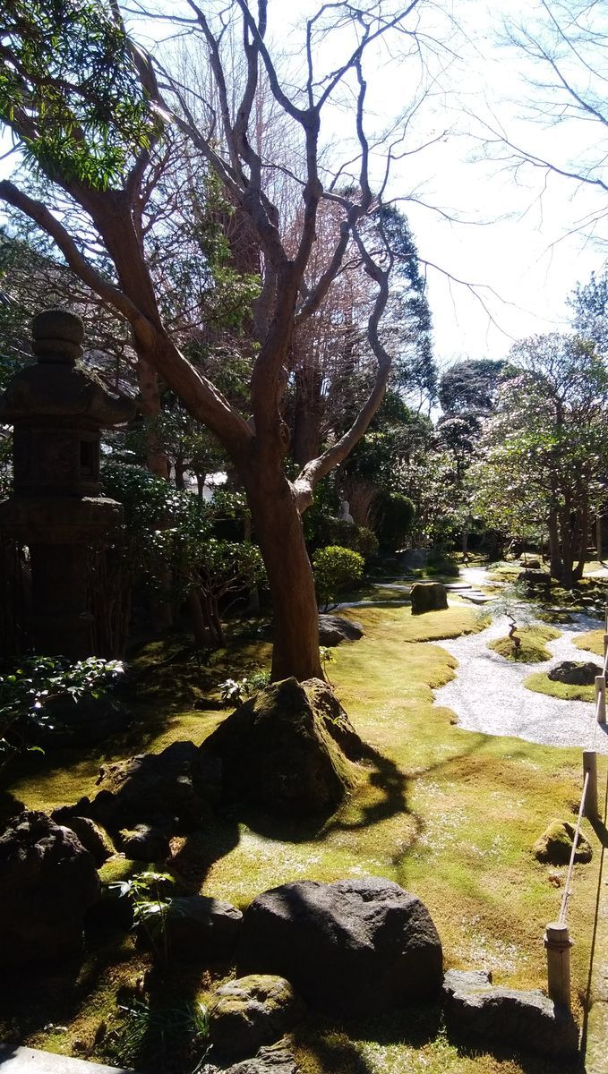 f:id:biso:20210219071952j:plain