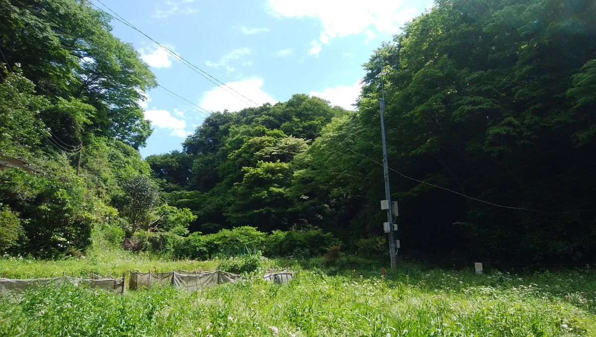 f:id:biso:20210506072712j:plain