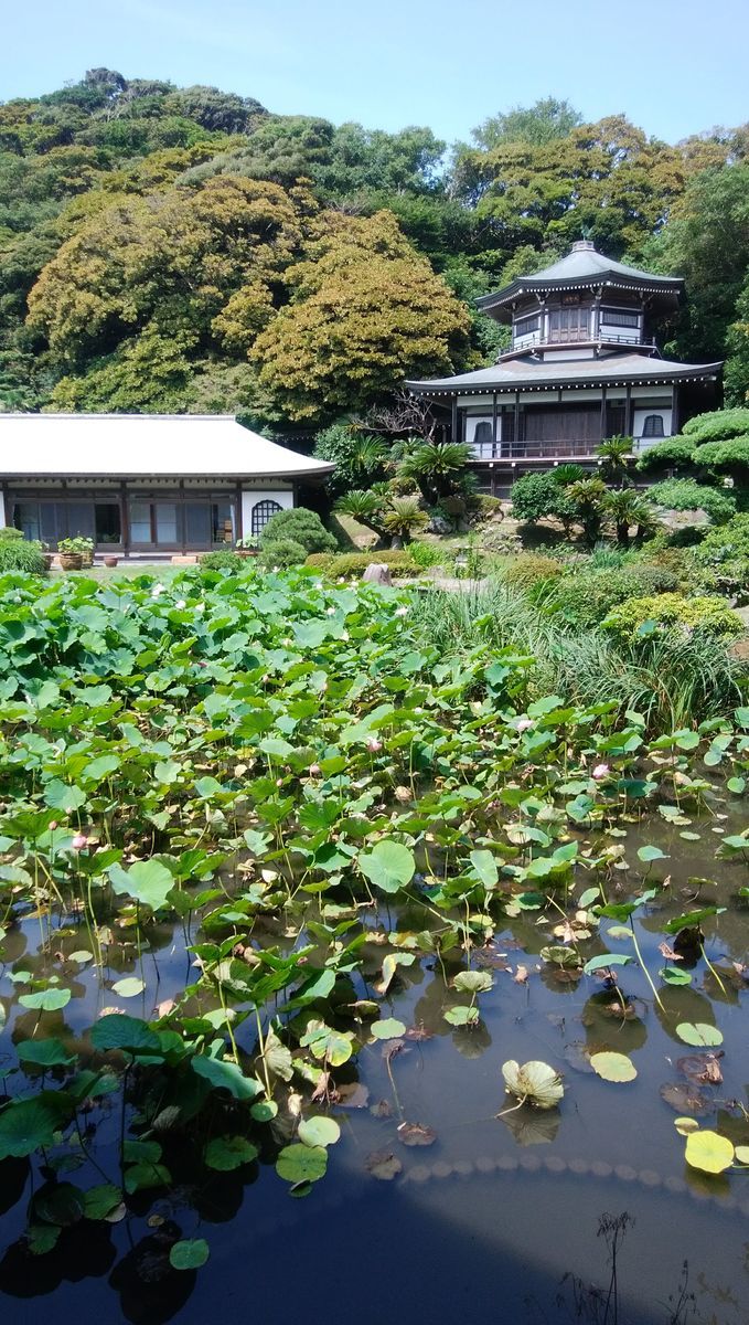 f:id:biso:20210713070222j:plain