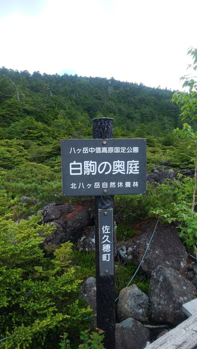 f:id:biso:20210802071355j:plain