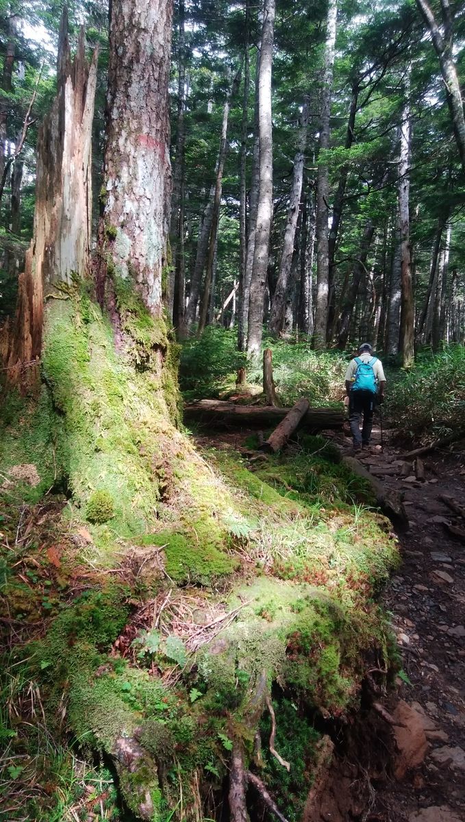 f:id:biso:20210802071436j:plain