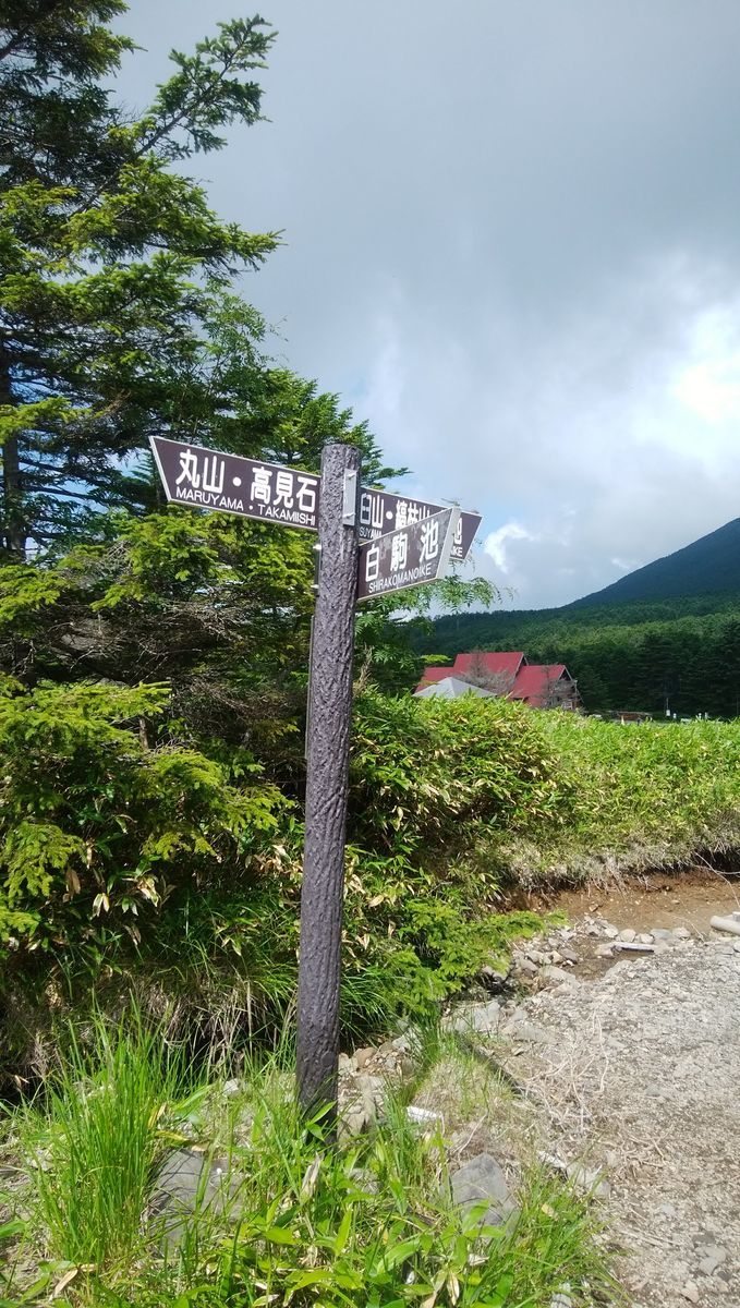 f:id:biso:20210802071456j:plain