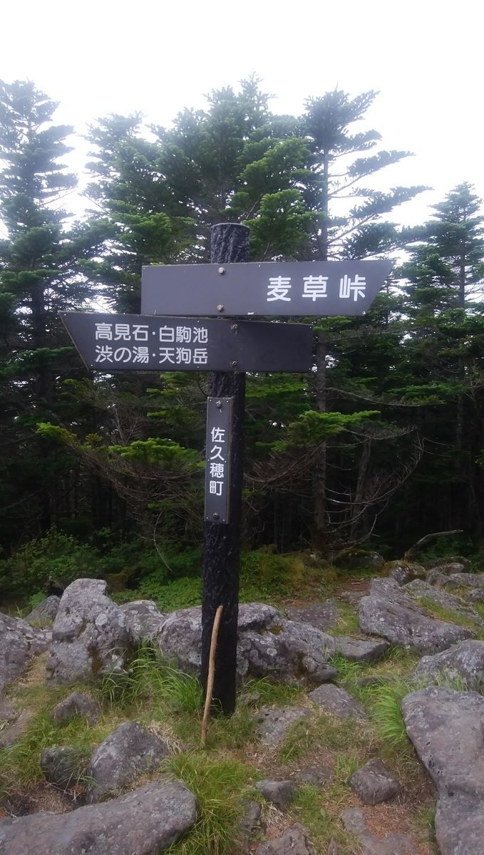 f:id:biso:20210802071634j:plain