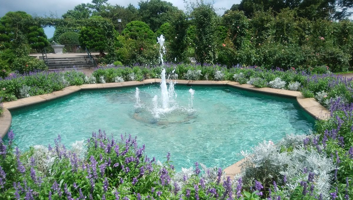 f:id:biso:20210819070641j:plain