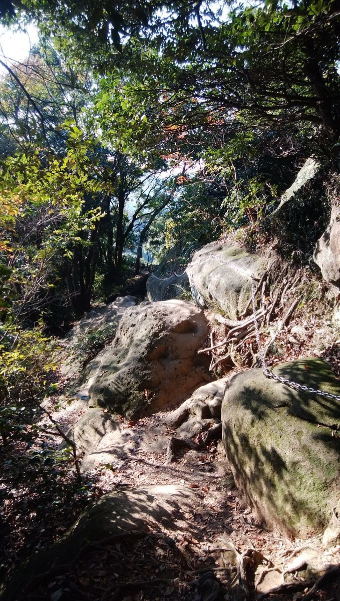 f:id:biso:20211122072809j:plain