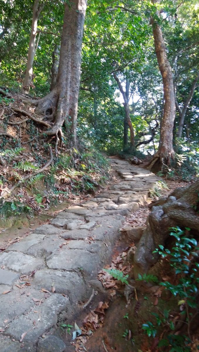 f:id:biso:20211122072843j:plain