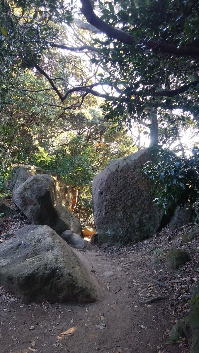 f:id:biso:20211122073010j:plain