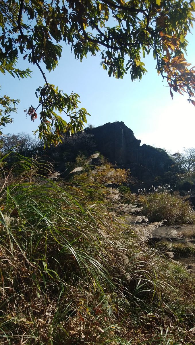 f:id:biso:20211122073043j:plain