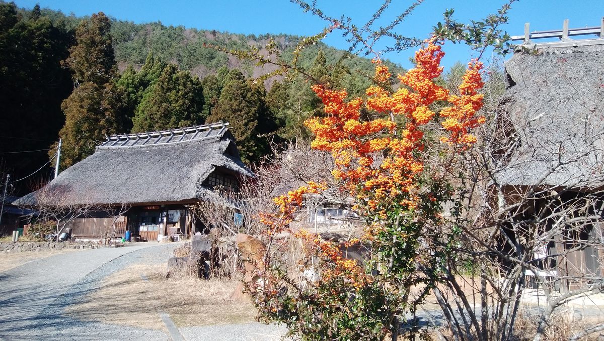 f:id:biso:20211213071550j:plain