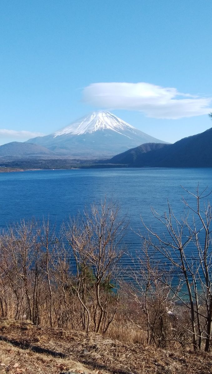 f:id:biso:20211213071714j:plain