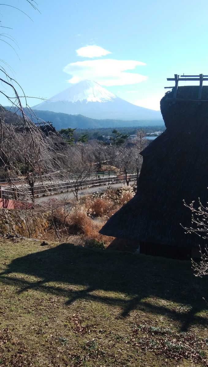 f:id:biso:20211213073113j:plain