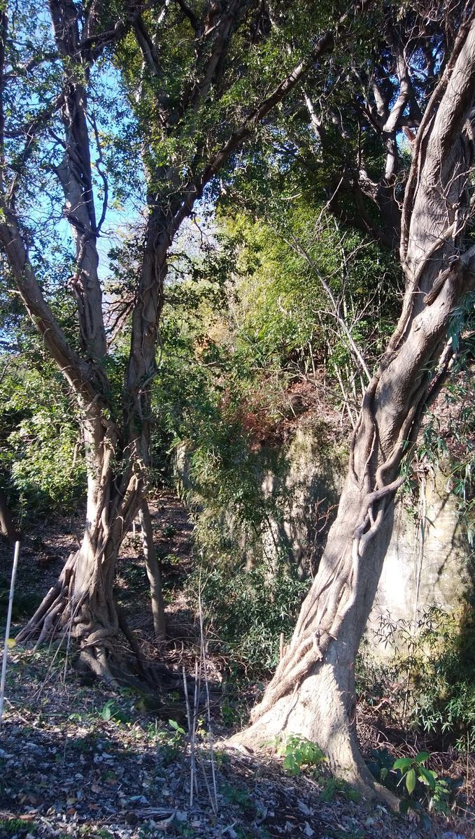 f:id:biso:20211220081439j:plain