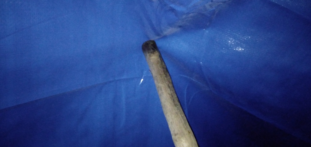 f:id:bison0522:20200816021556j:plain f:id:bison0522:20200816021556j:plain
