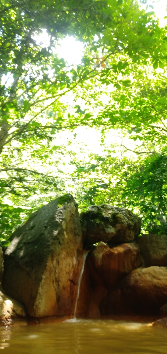 f:id:bison0522:20200816024711j:plain f:id:bison0522:20200816024711j:plain