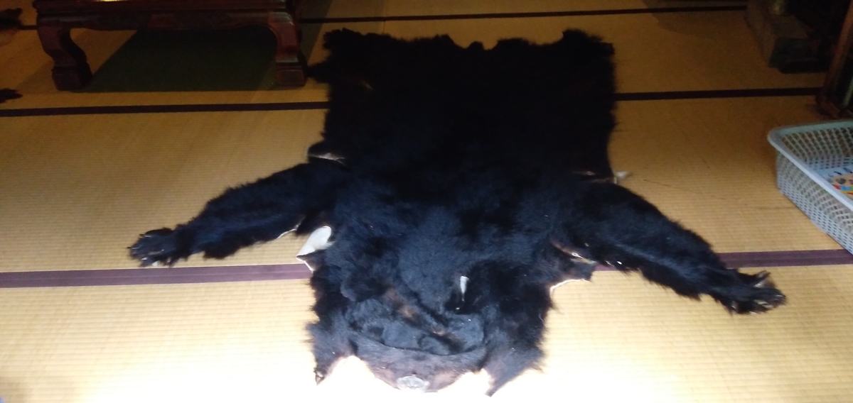 f:id:bison0522:20200816025309j:plain f:id:bison0522:20200816025309j:plain