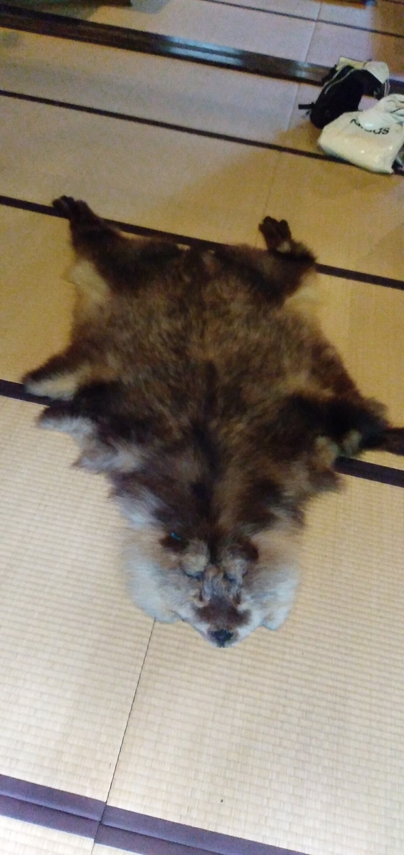f:id:bison0522:20200816025311j:plain f:id:bison0522:20200816025311j:plain