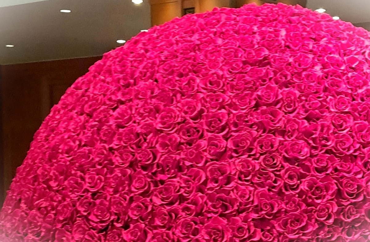 真っ赤な1001本のバラ🌹 - ～暮らしを彩る香りの魅力～ 美ソフィアのブログ