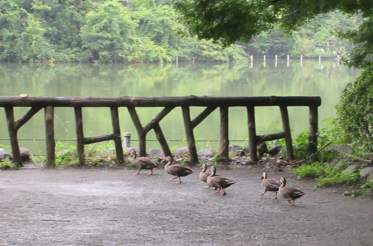 f:id:bistrotkenwood:20200723101537j:plain