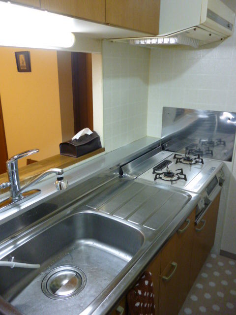 P1000244 (480x640)