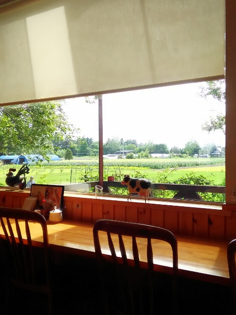 f:id:bisukoko:20180731071223j:plain