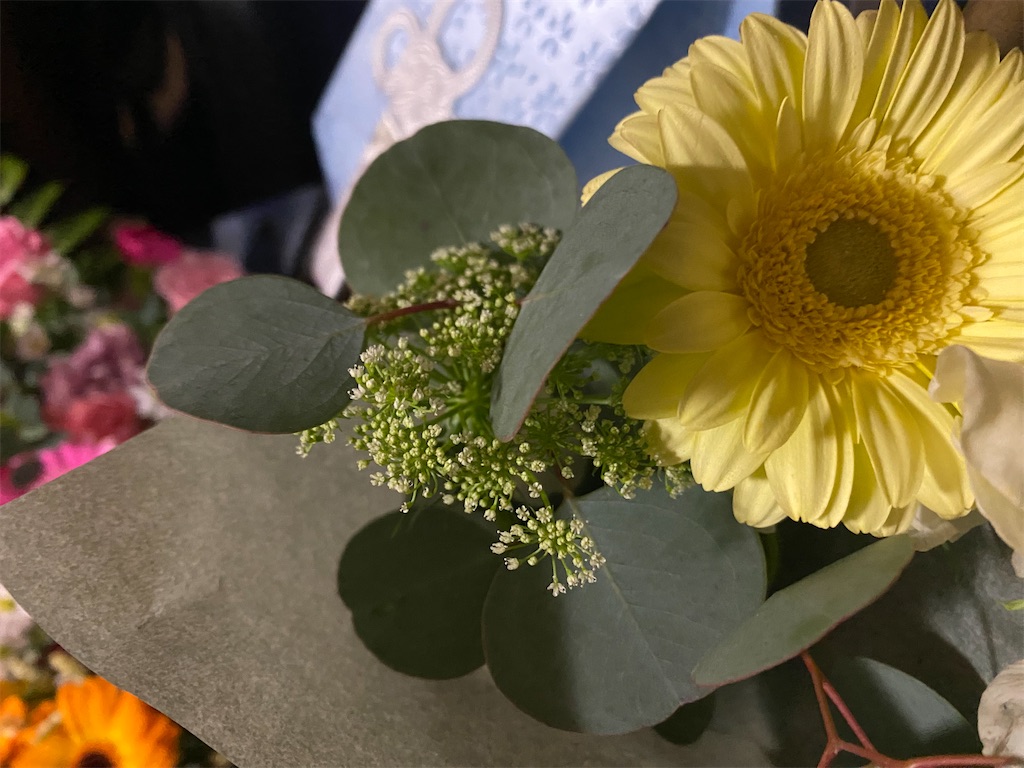 f:id:bisukonnti:20251206065320j:image