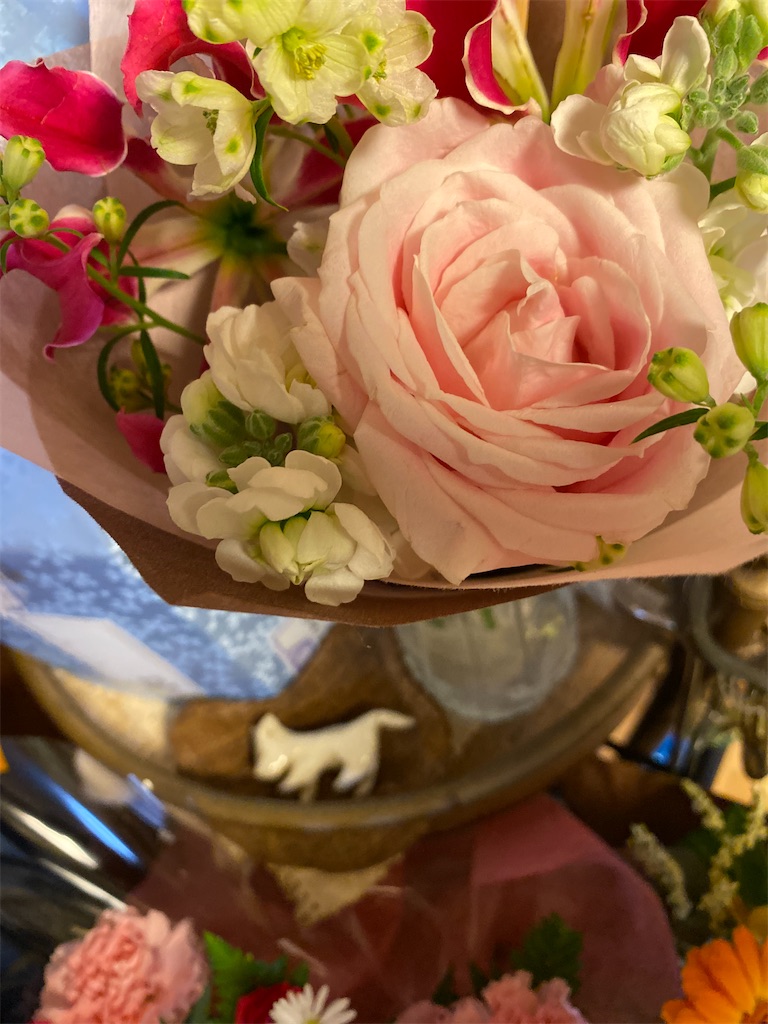 f:id:bisukonnti:20251206065350j:image