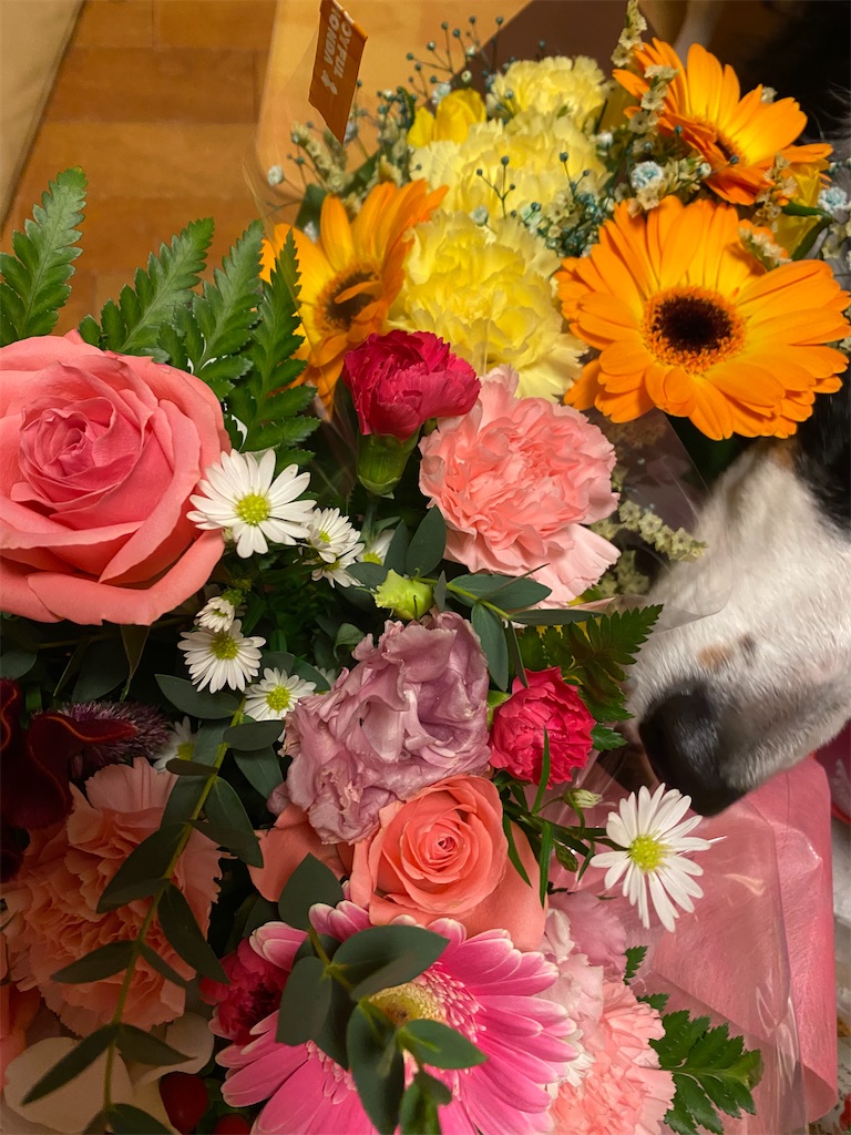 f:id:bisukonnti:20251206070131j:image