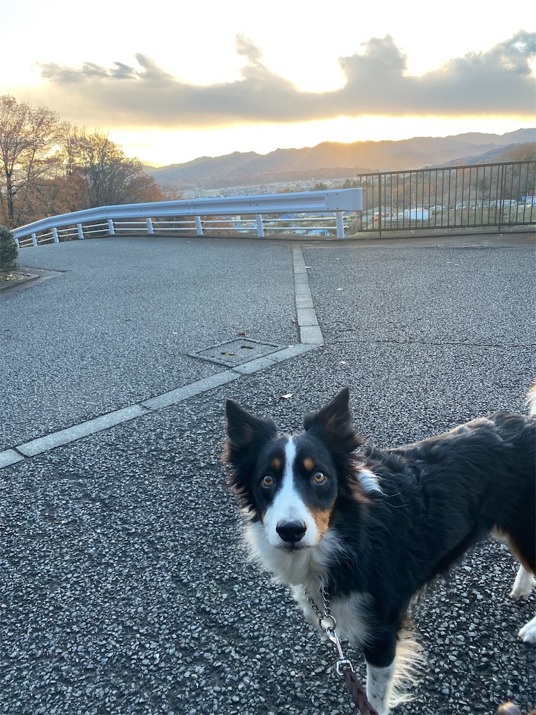 f:id:bisukonnti:20251206070543j:image