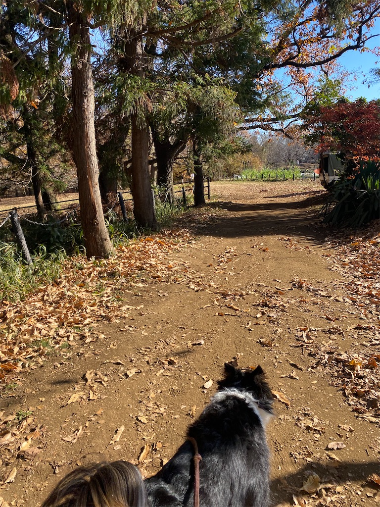 f:id:bisukonnti:20251211231841j:image f:id:bisukonnti:20251211231841j:image