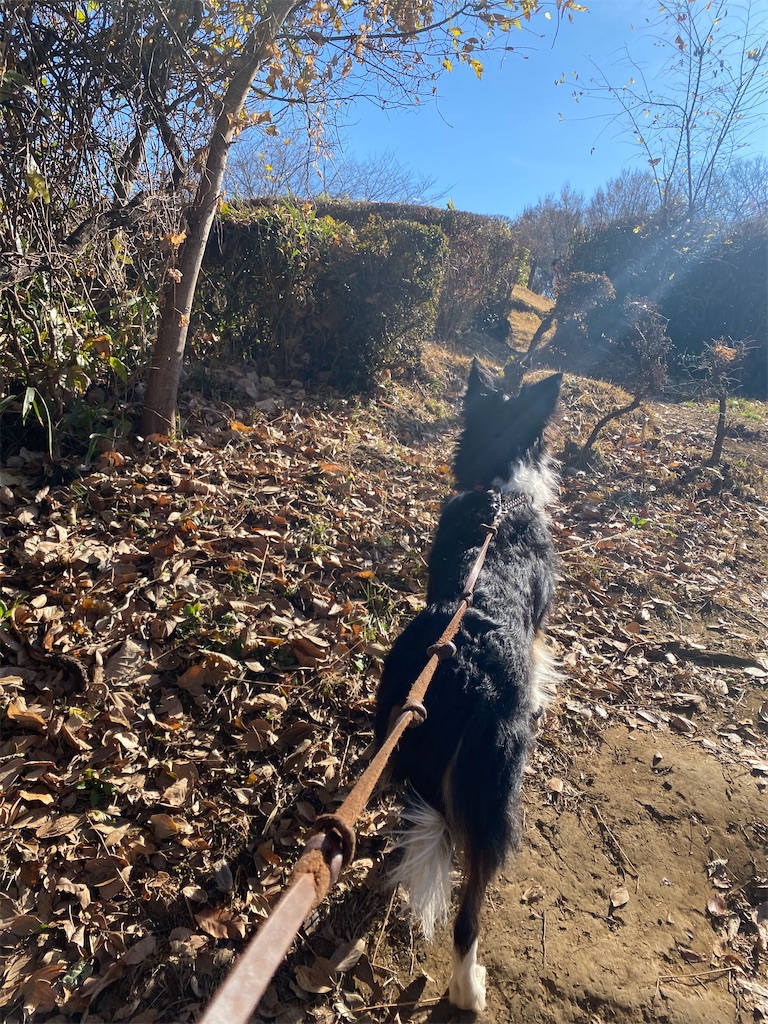 f:id:bisukonnti:20251211231859j:image f:id:bisukonnti:20251211231859j:image