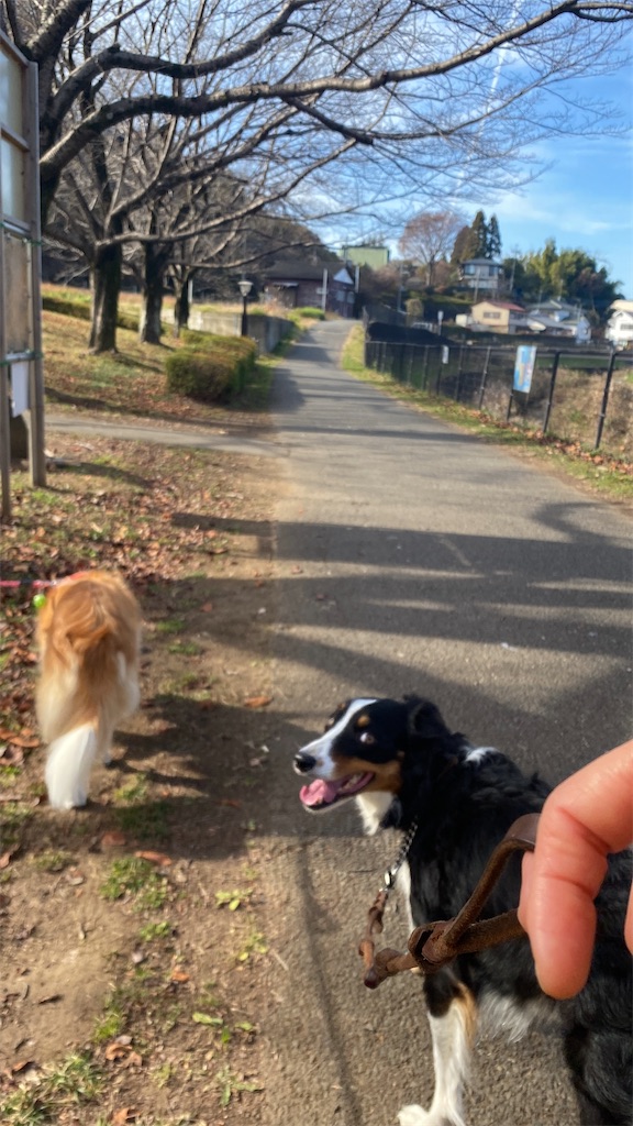 f:id:bisukonnti:20251211231918j:image f:id:bisukonnti:20251211231918j:image