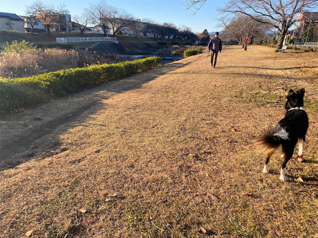 f:id:bisukonnti:20251212185529j:image f:id:bisukonnti:20251212185529j:image