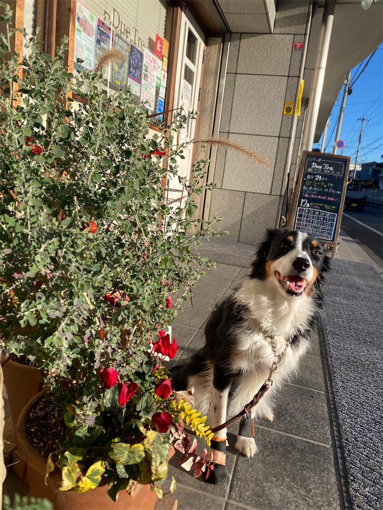 f:id:bisukonnti:20251212185601j:image f:id:bisukonnti:20251212185601j:image