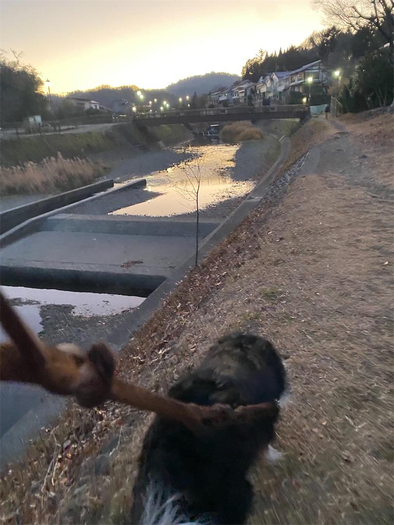 f:id:bisukonnti:20251230233341j:image f:id:bisukonnti:20251230233341j:image