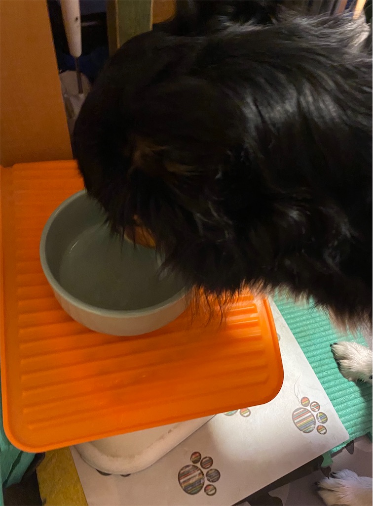 f:id:bisukonnti:20260101082523j:image f:id:bisukonnti:20260101082523j:image