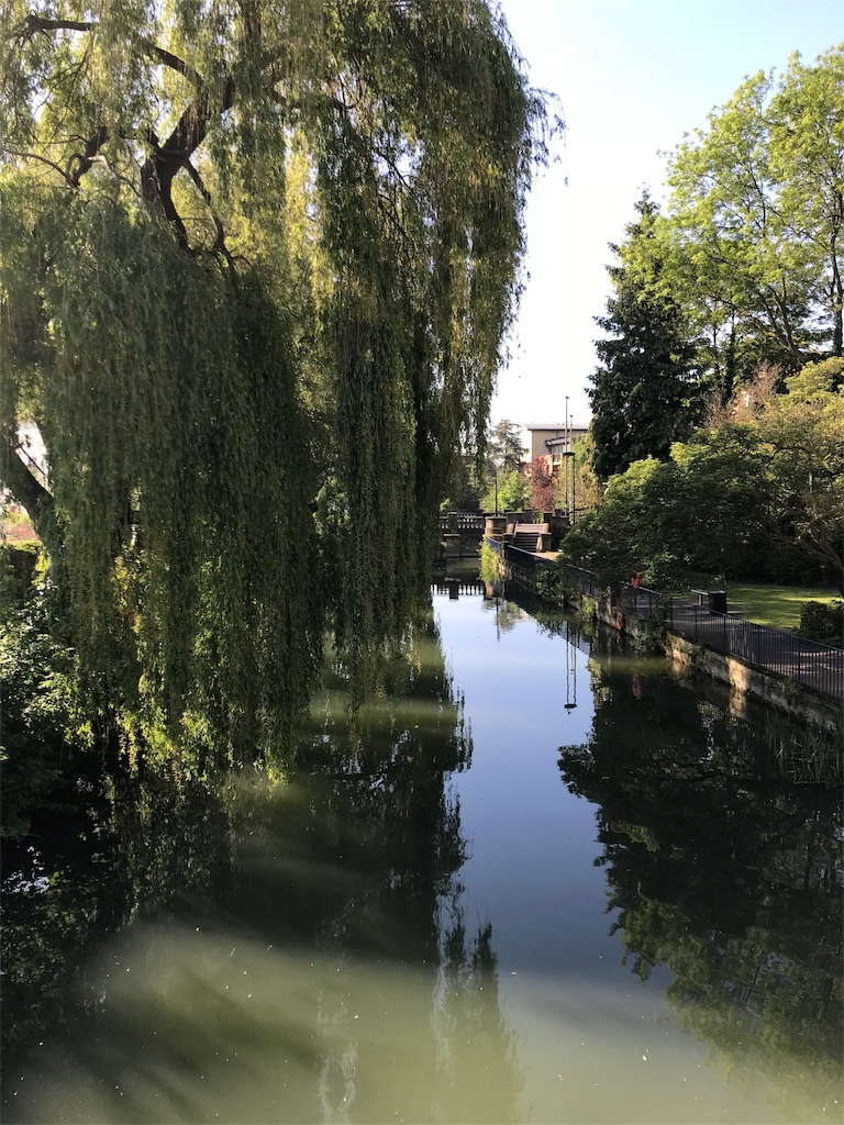 f:id:bisumaruk2:20180524021302j:image