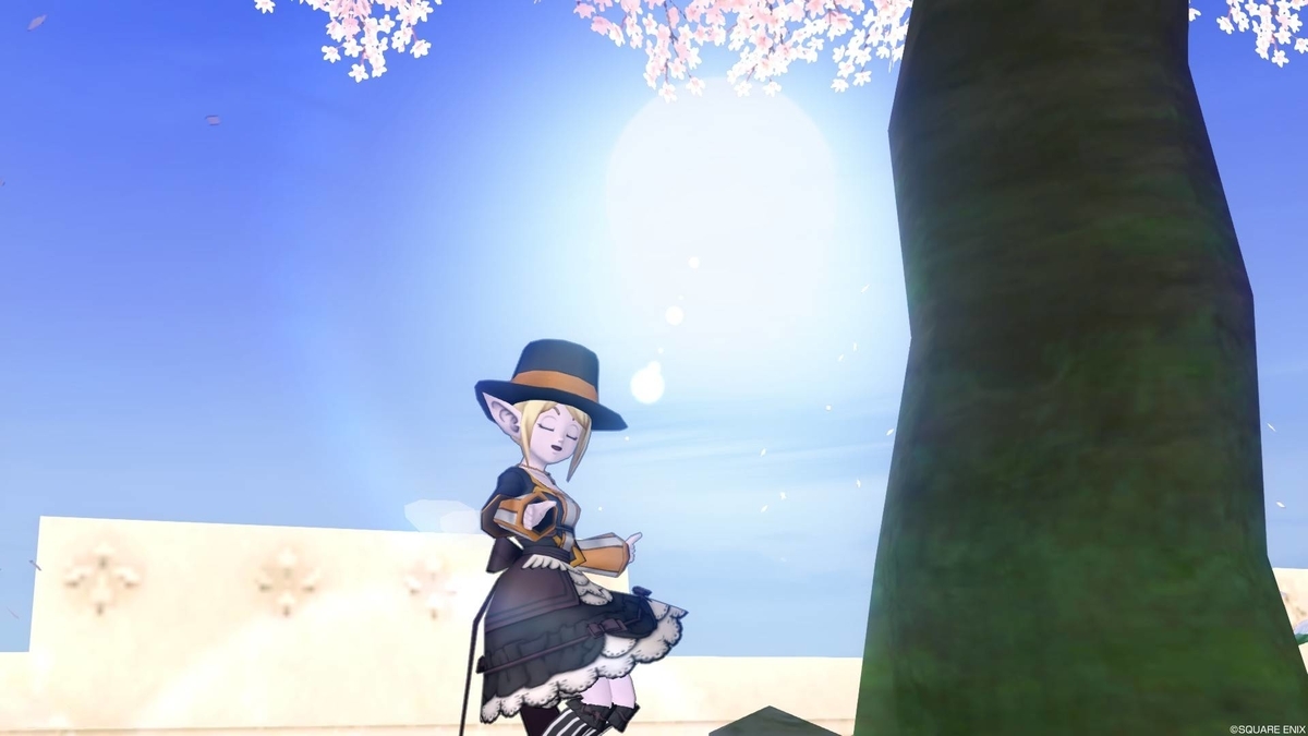f:id:bisumoco:20200323061856j:plain