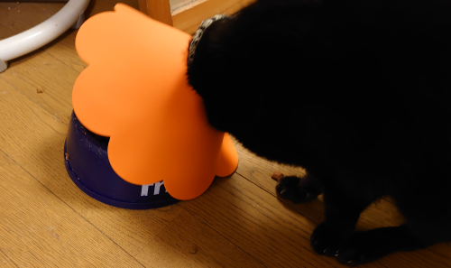 f:id:bisumoco:20210120070720p:plain