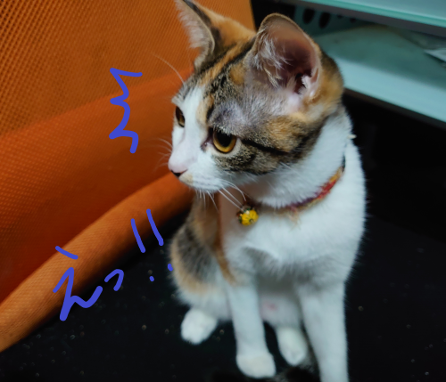 f:id:bisumoco:20211025183905p:plain