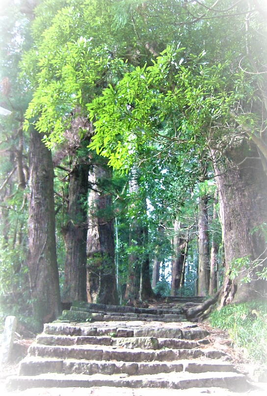 f:id:bit150430:20200310213435p:plain f:id:bit150430:20200310213435p:plain