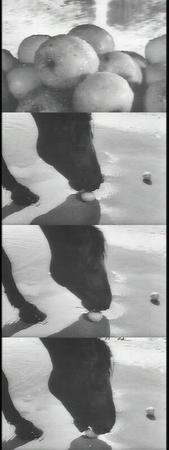 f:id:bitch69:20050403082200:image
