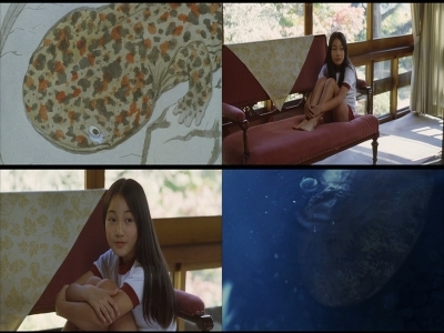 f:id:bitch69:20070930174945j:image f:id:bitch69:20070930174945j:image