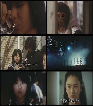 f:id:bitch69:20080113084224j:image
