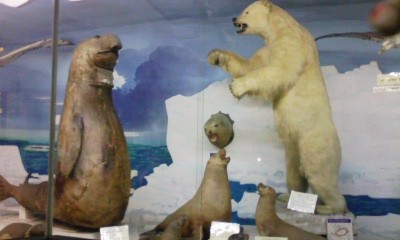 f:id:bitch69:20110503134228j:image