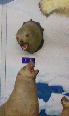 f:id:bitch69:20110503134308j:image