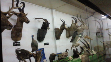 f:id:bitch69:20110503135900j:image