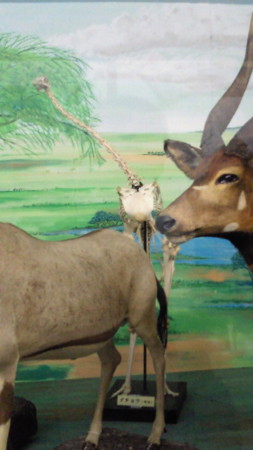 f:id:bitch69:20110503140400j:image