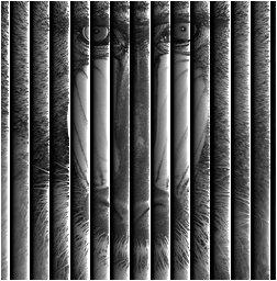 f:id:bitop:20180126061701p:plain f:id:bitop:20180126061701p:plain