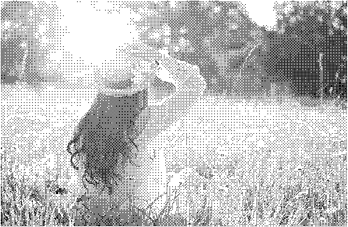 f:id:bitop:20180215055630p:plain f:id:bitop:20180215055630p:plain