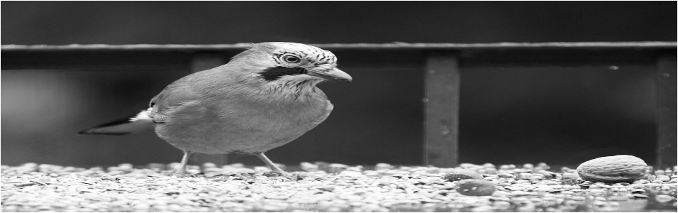 f:id:bitop:20180307062036p:plain